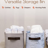 Dinosaur Canvas Storage Bins