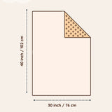 Neutral Rainbow 2-Sided Minky Infant Blanket