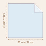 Neutral Blue Newborn Receiving Blankets Set
