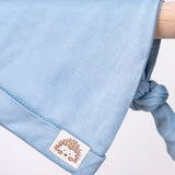 Neutral Blue Newborn Receiving Blankets Set